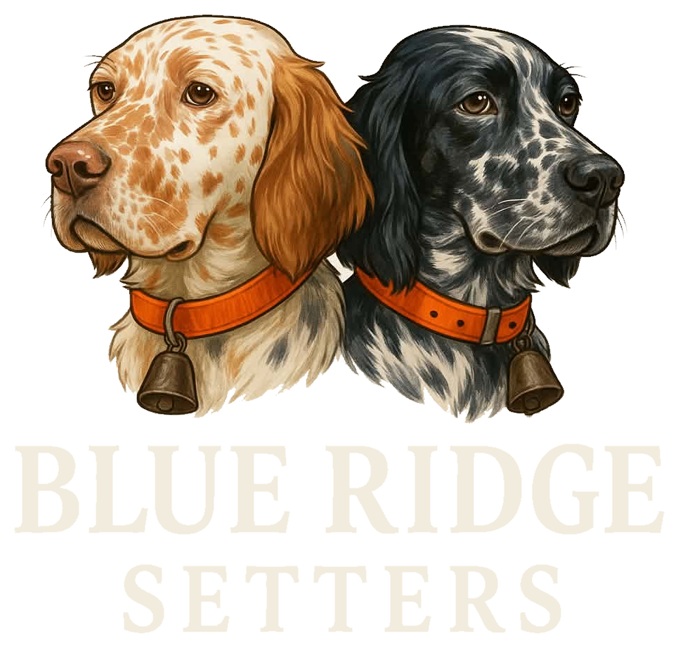 Blue Ridge Setters