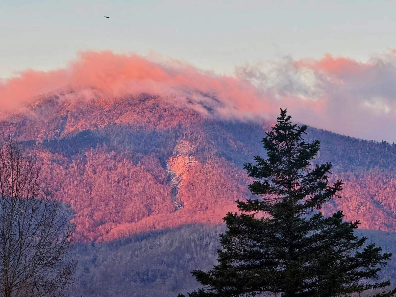 Celo Knob catching the first light above the ridge