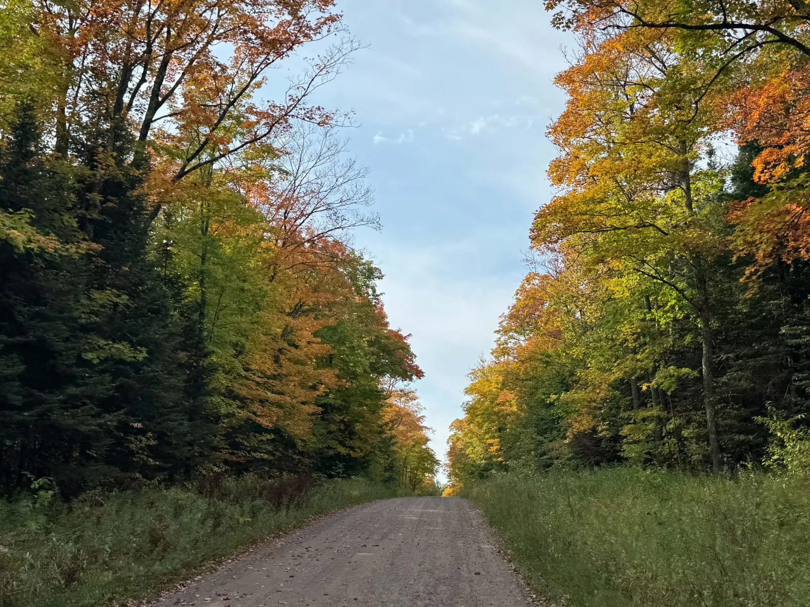 A gravel road running between maples turning orange and gold in early fall
