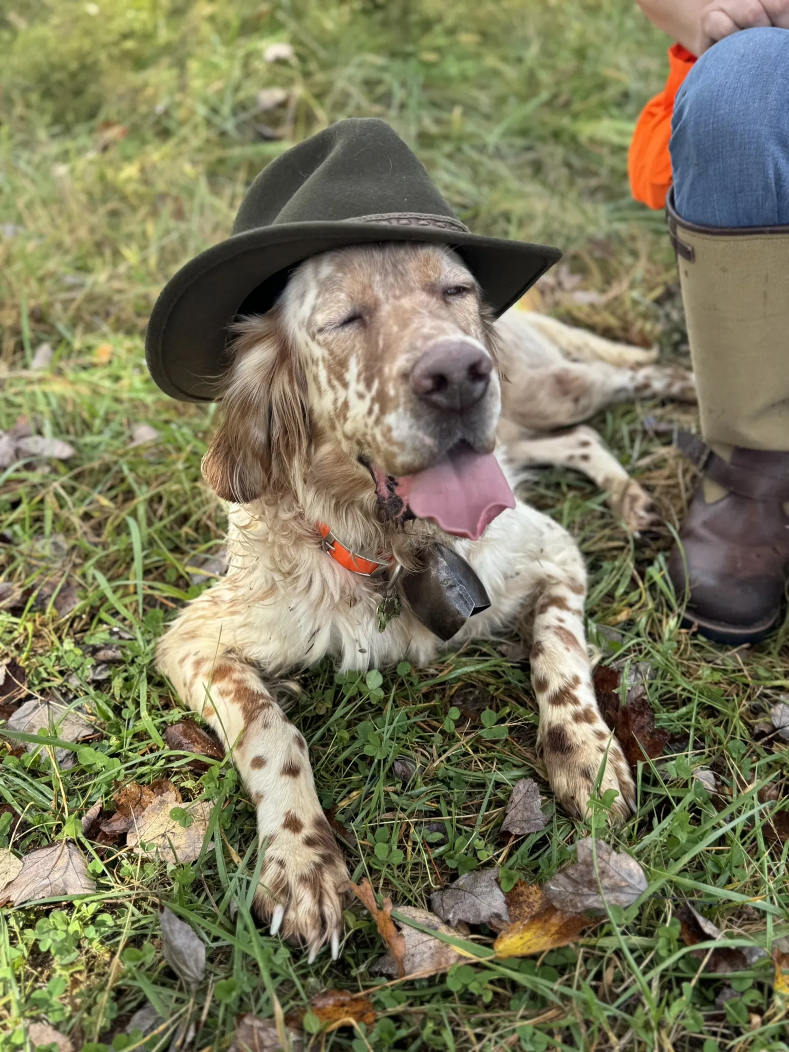Buster in a hat