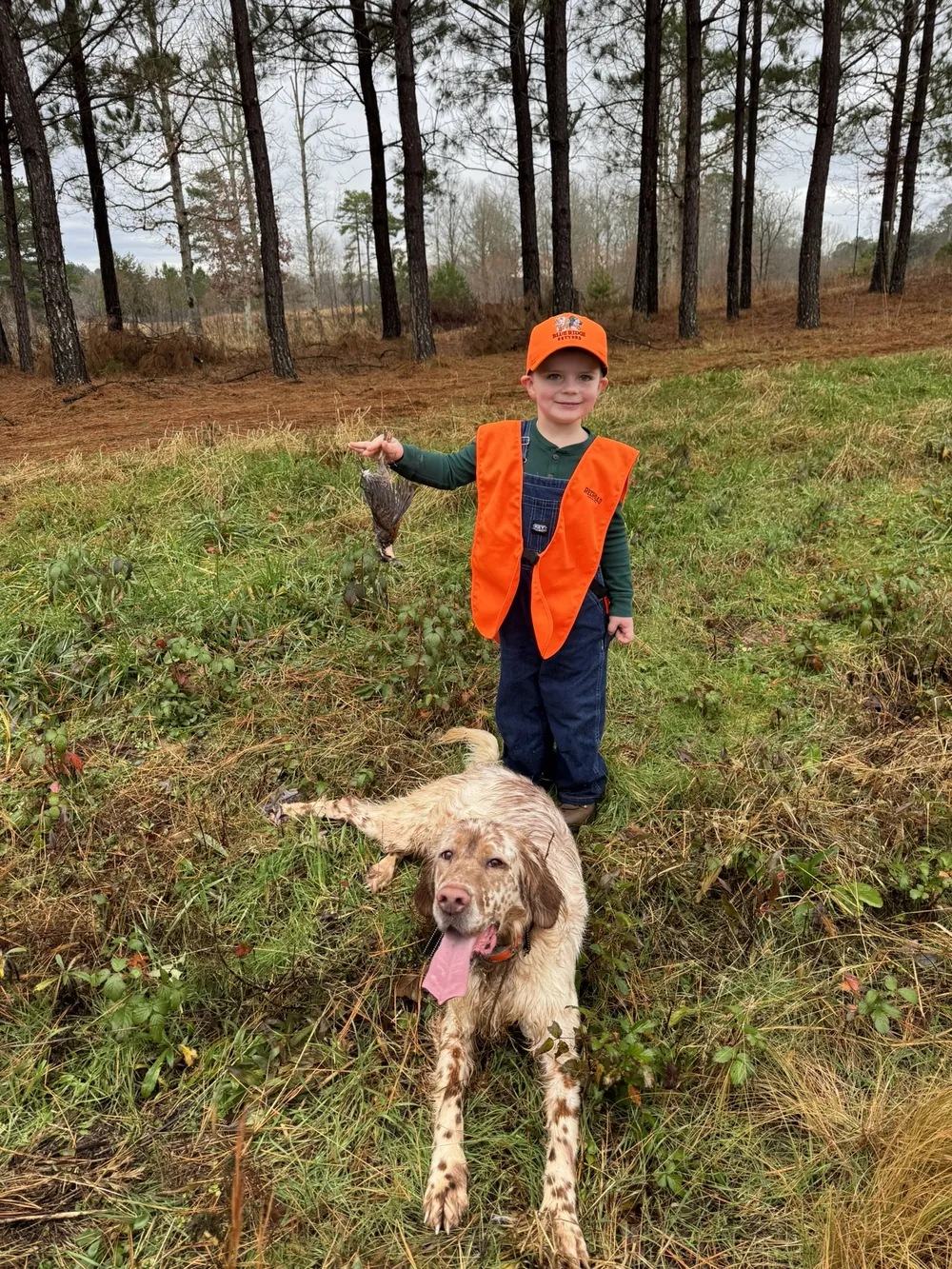 A boy in blaze orange standing with a setter