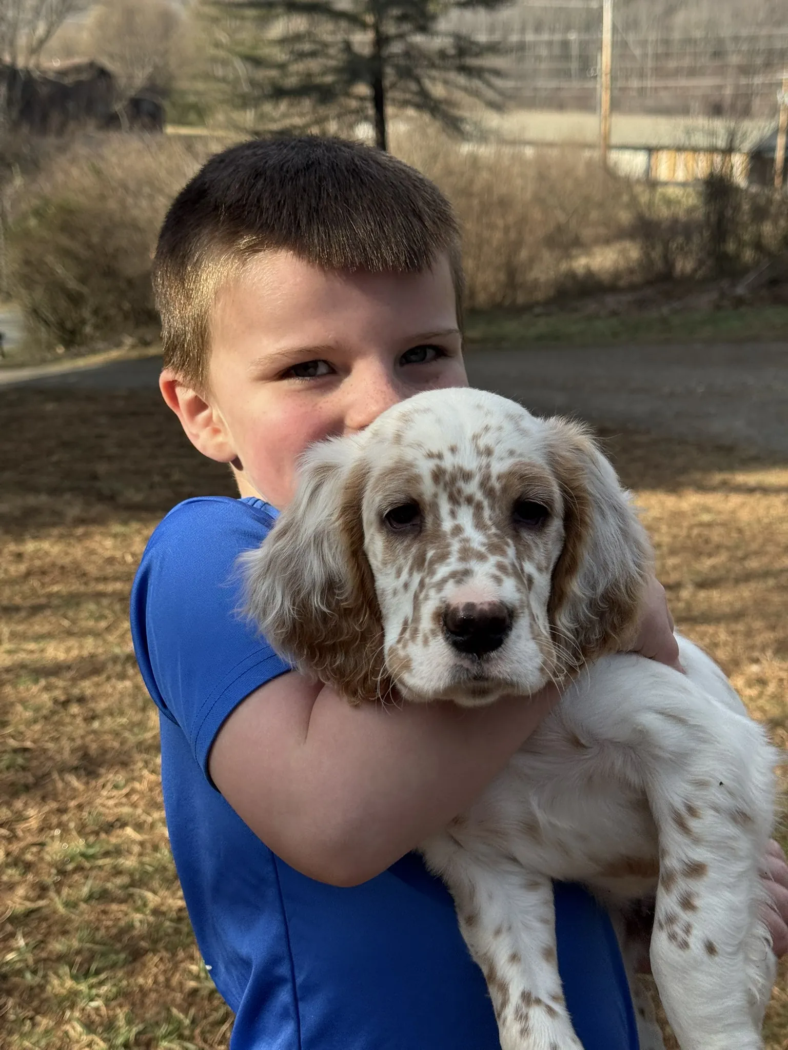 A child holding one of the Blue Ridge Setters puppies